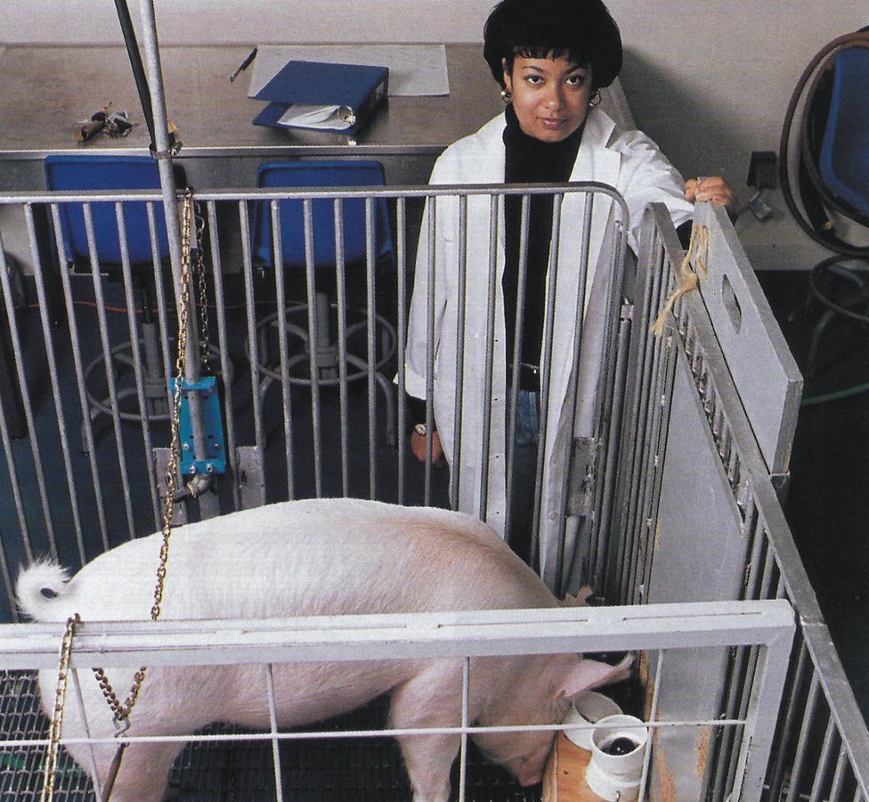 Dr Candace Croney and one of the pigs
