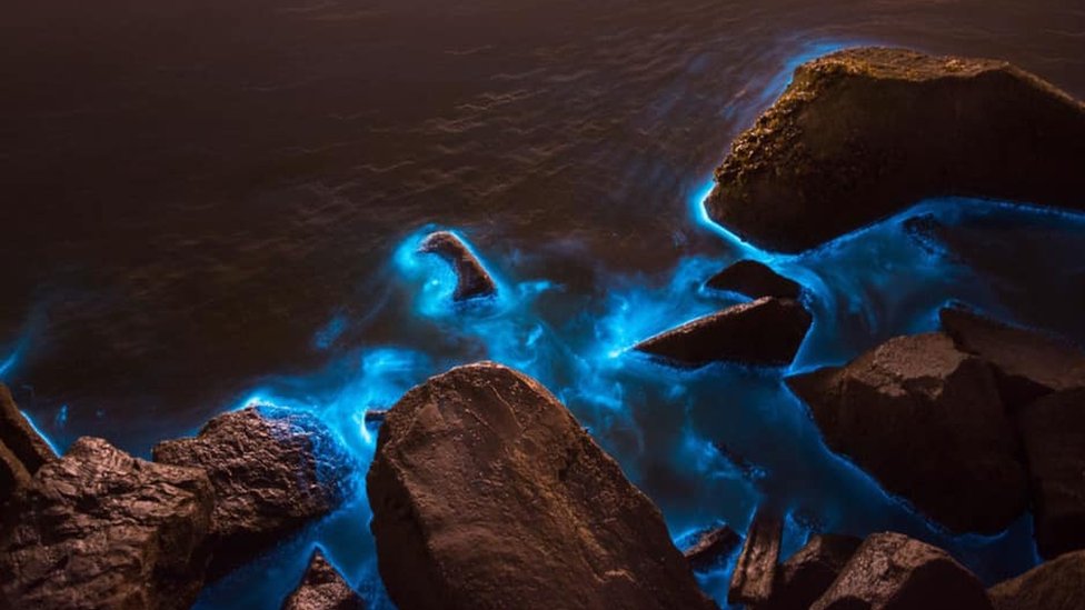 Биолюминесцентный планктон у берегов Аберавона