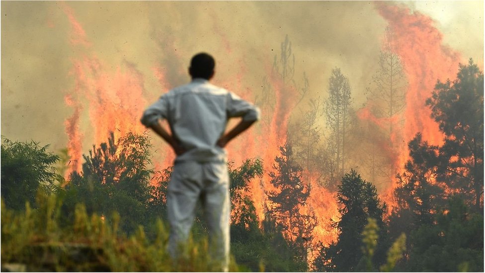 在高溫和乾旱中，重慶發生山林大火。