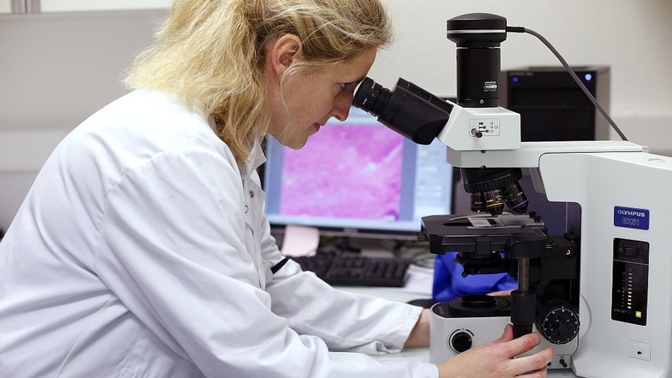 Entrar en las grandes universidades es muy difícil. Laboratorio