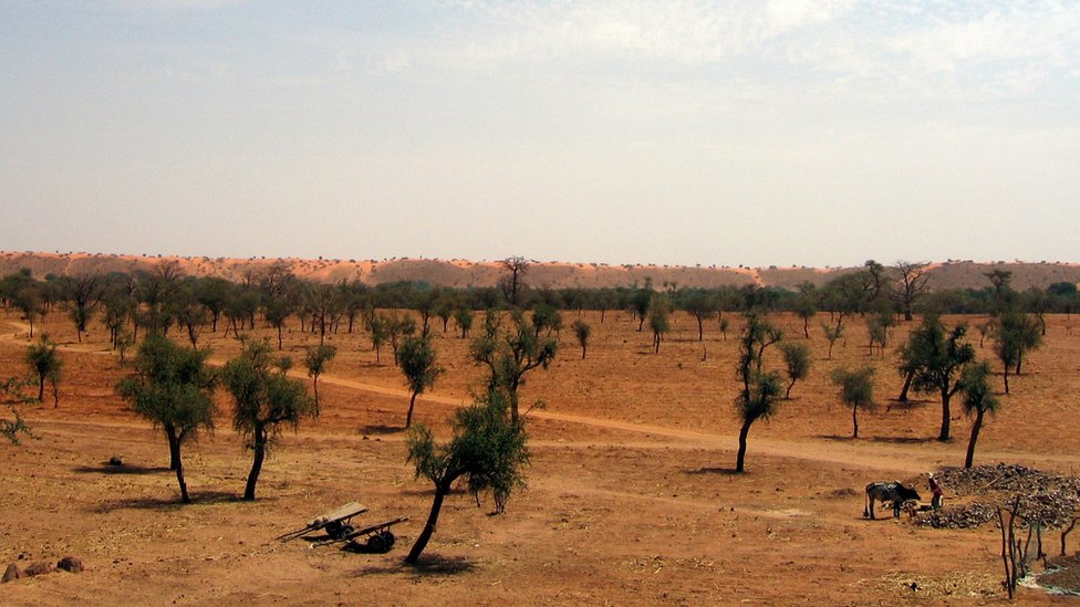 El Sahel es la zona de transición, que atraviesa África, entre el desierto del Sahara y la sabana sudanesa El Sahel, en Burkina Faso
