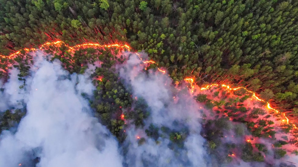 Forest fire in Siberia from above