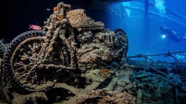 En los restos del SS Thistlegorm, un navío británico hundido por tropas alemanas, pueden verse hasta tanques y motocicletas. Foto: Anders Nysberg Motocicleta en los restos del SS Thistlegorm, un navío británico hundido por tropas alemanas. Foto: Anders Nysberg