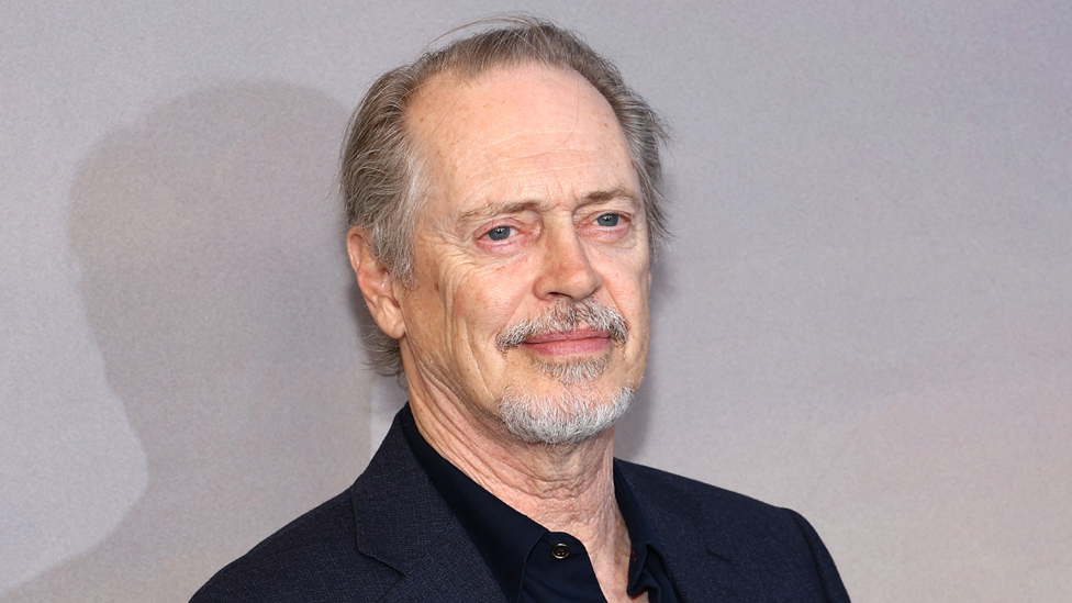 Steve Buscemi punched while walking street in New York