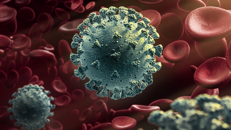 Ilustração do coronavírus na corrente sanguínea
