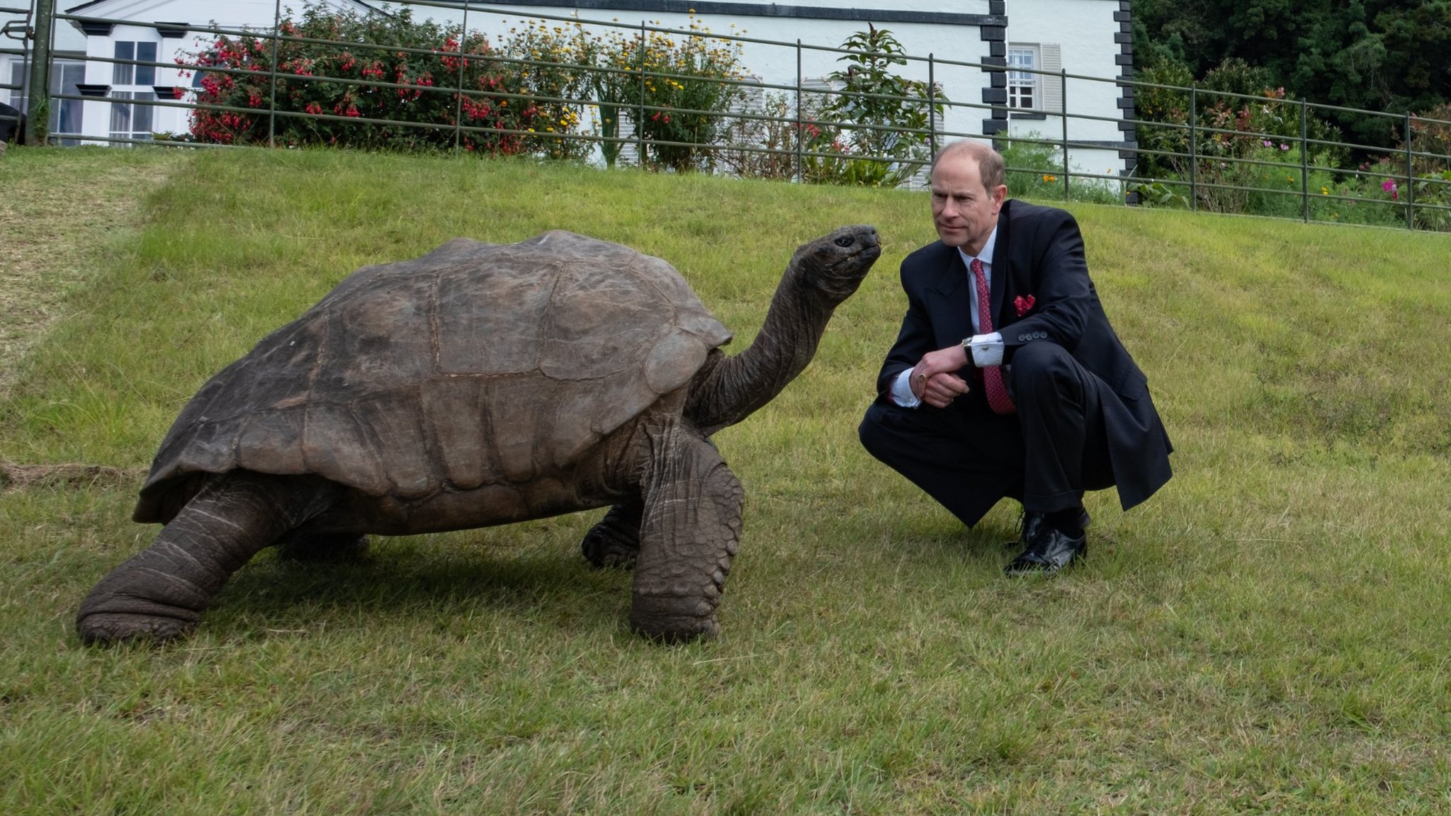 World's oldest living land animal meets Duke of Edinburgh - BBC Newsround