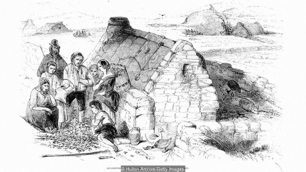 Una enfermedad de la papa provocó una hambruna que redujo a la mitad la población de Irlanda en pocos años.
