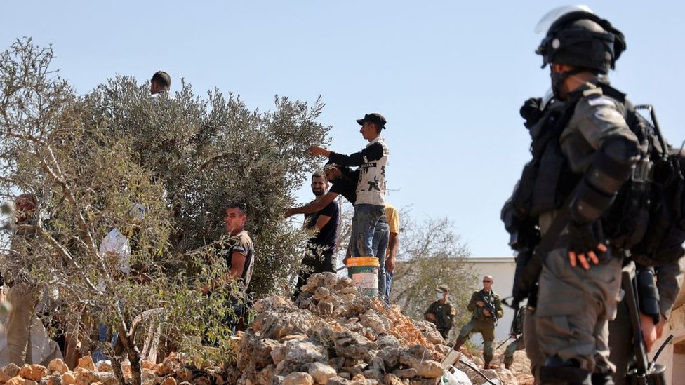 القوات الإسرائيلية مقابل متطوعين ونشطاء فلسطينيين وأجانب يقطفون الزيتون تضامنا مع الفلسطينيين الذين صادر المستوطنون أراضيهم في قرية بيتا شمال نابلس بالضفة الغربية، 10 أكتوبر/تشرين الأول، 2021