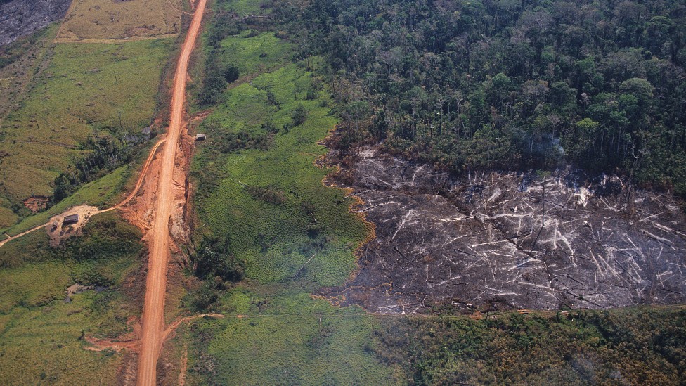 Carretera abierta en la Amazonia, donde se ve una zona deforestada