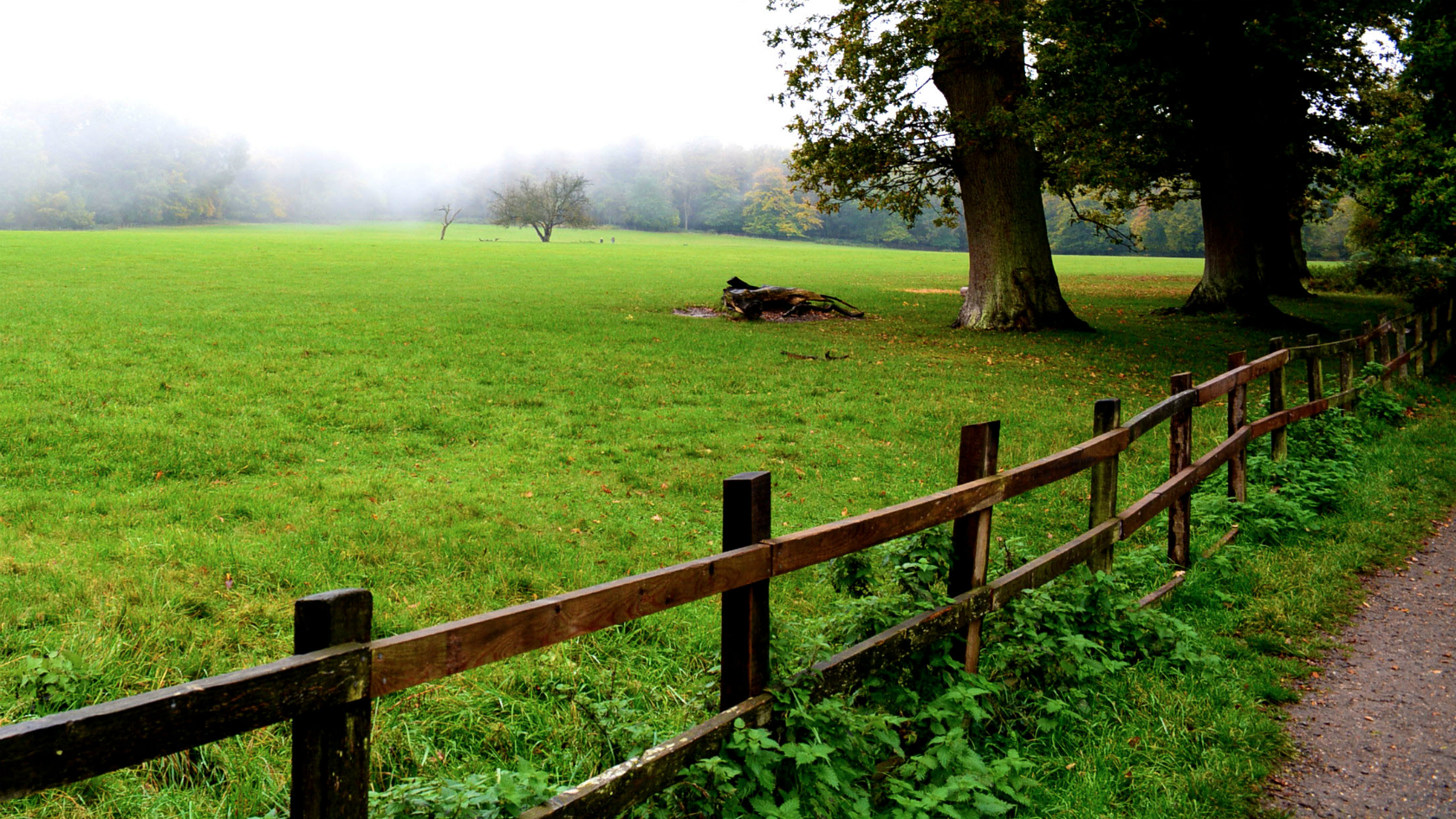 BBC Local Live Beds, Herts & Bucks on Thursday, 28 January 2016. BBC News
