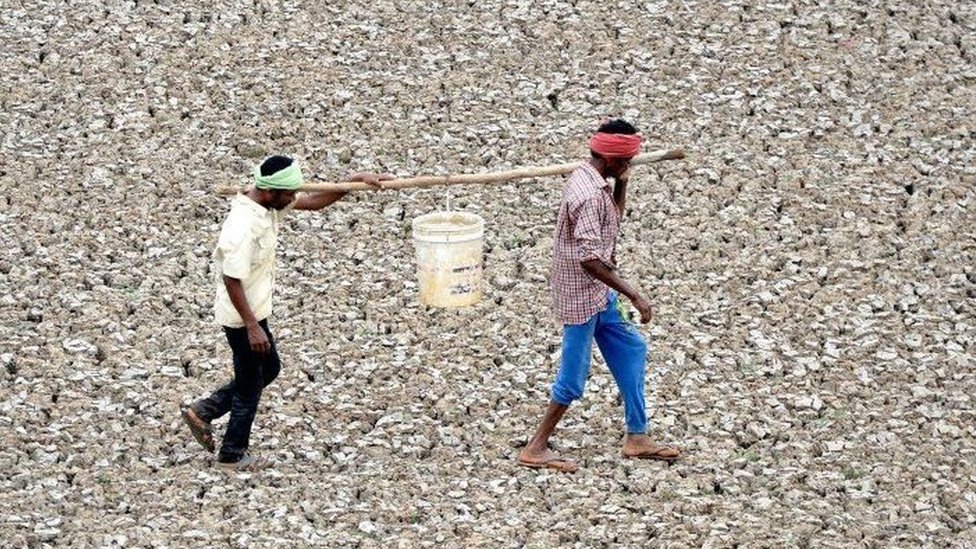 Indijski radnici nose kofu vode iz bare za vreme suše u Čenaju