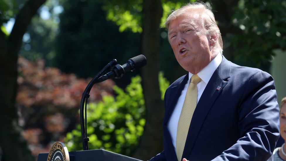 Президент США Дональд Трамп говорит о расширении охвата услугами здравоохранения для малого бизнеса в Розовом саду Белого дома 14 июня 2019 года в Вашингтоне, округ Колумбия