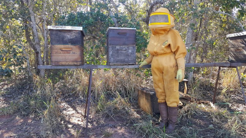 Apicultor com roupa de proteção ao lado de duas caixas com colmeias