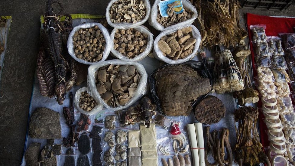 Elephant skin, a tiger claw, ivory, porcupine quills, and more are displayed at a small market stall on February 17, 2016 in Mong La, Myanmar