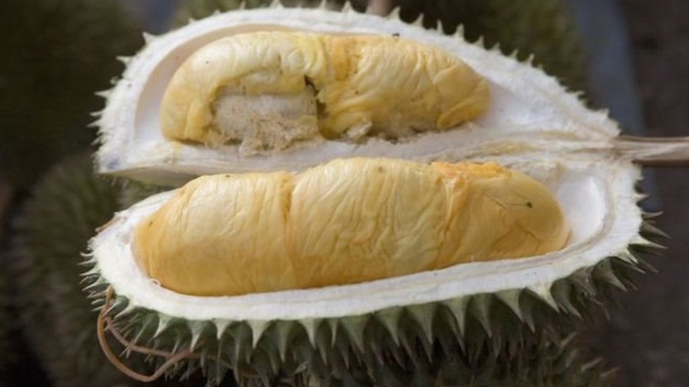 Durian, dünyanın en kötü kokan meyvesi olarak da biliniyor