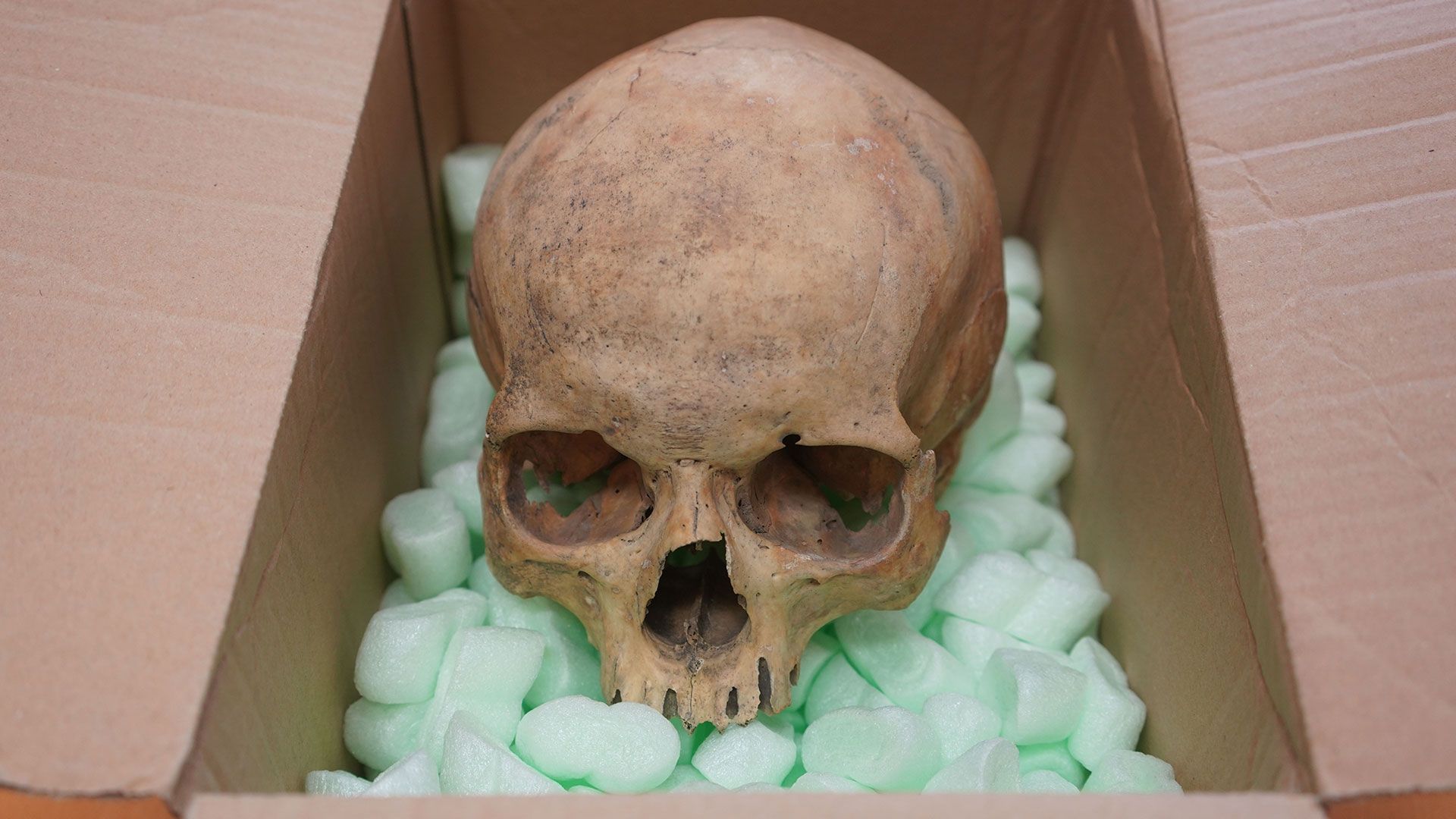 Austrian skull: 60 years after tourist stole it from a cathedral