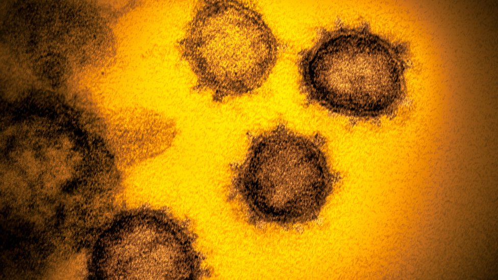 Moléculas del nuevo coronavirus.