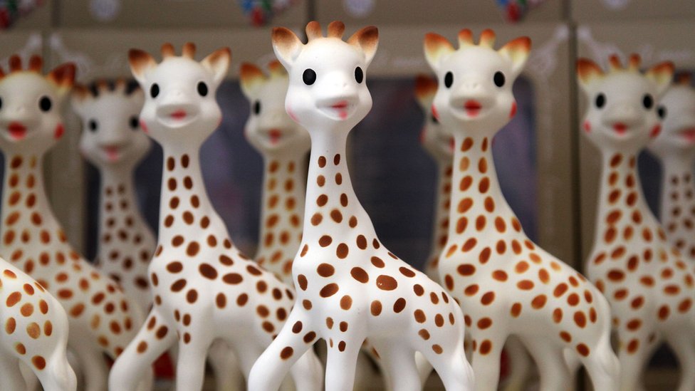 Antecedent geleider Vestiging Sophie the Giraffe: How safe is it? - BBC News