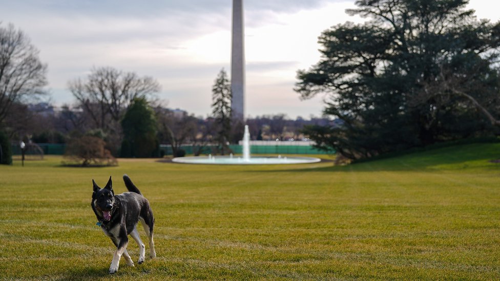 Major on the White House lawn