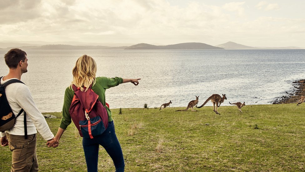 Пара туристов указывает на кенгуру у воды
