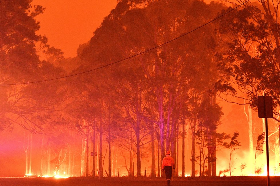Пожарный проходит мимо горящих деревьев