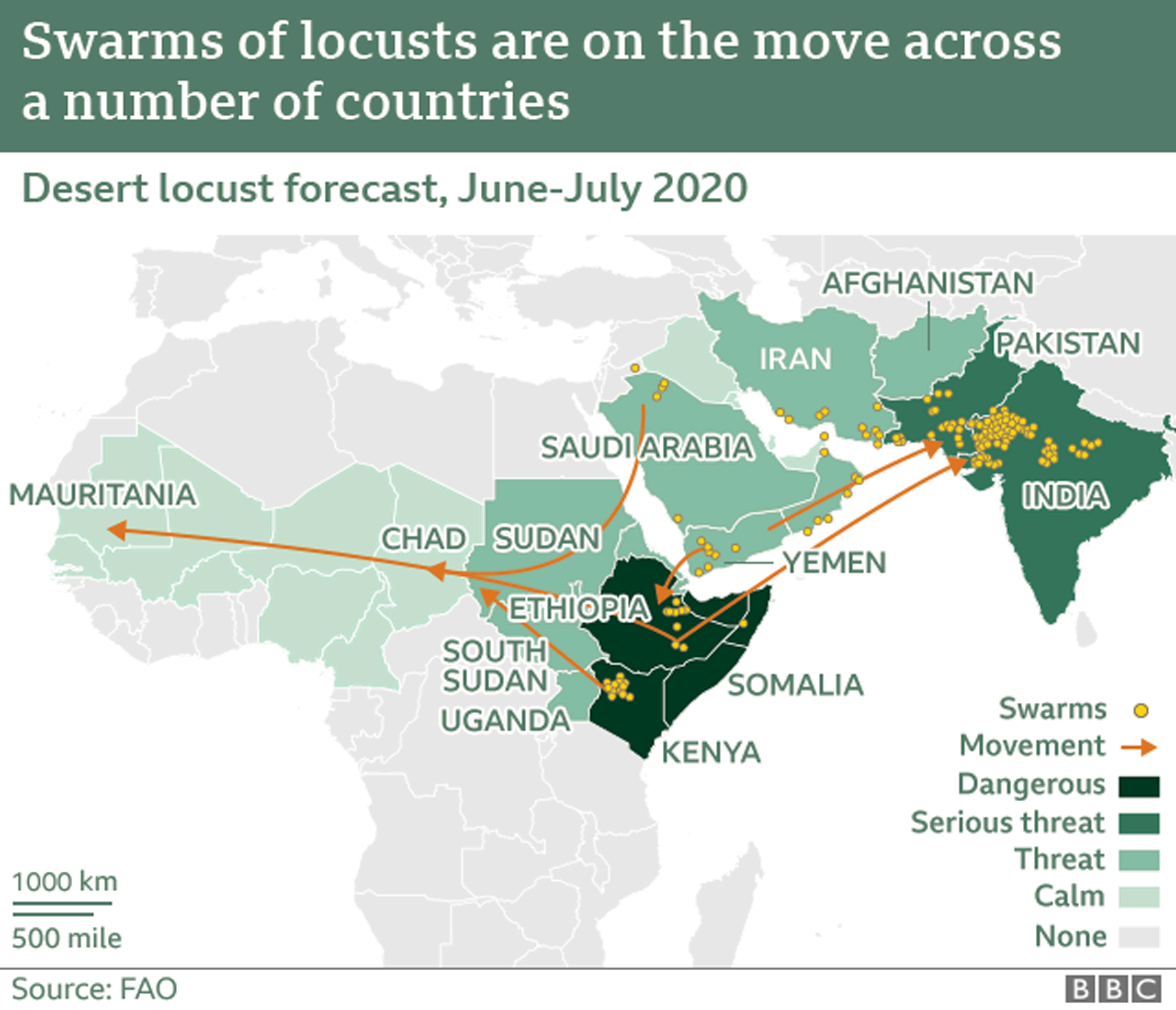 Map showing where swarms are located across East Africa, the Middle East, India and Pakistan