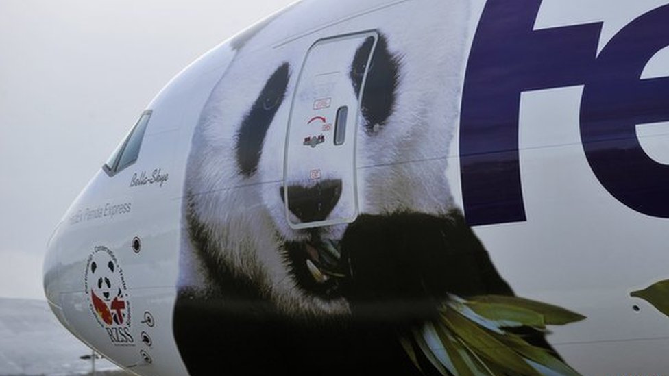 Tian Tian i Jang Guang su stigli posebnim Panda ekspres kargo avionom