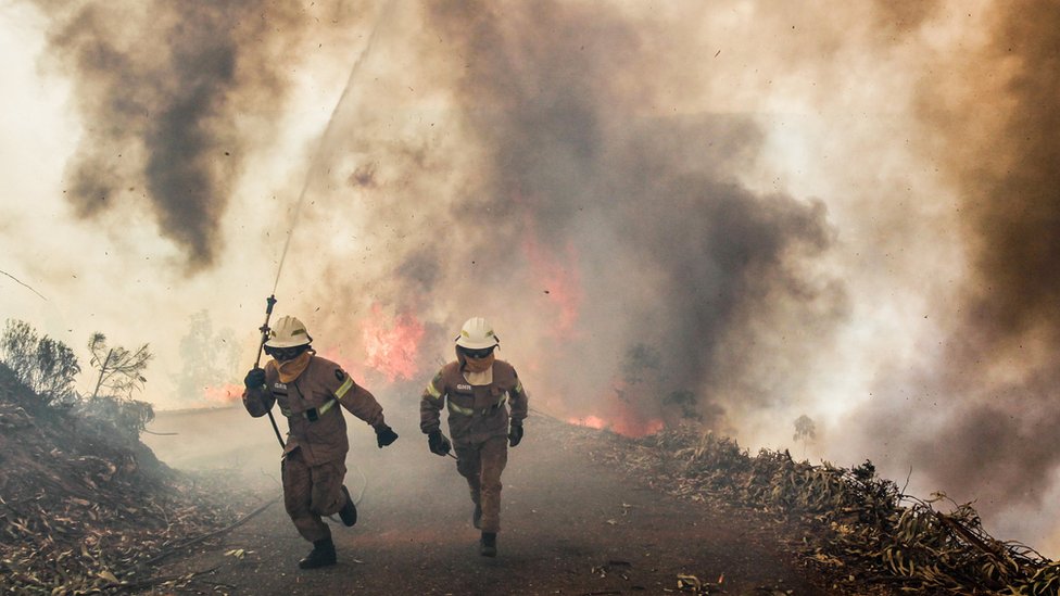 Солдаты португальской республиканской национальной гвардии сражаются с лесным пожаром в районе Капела-Сан-Нейтел, Альвайазере, центральная Португалия, 18 июня 2017 г.
