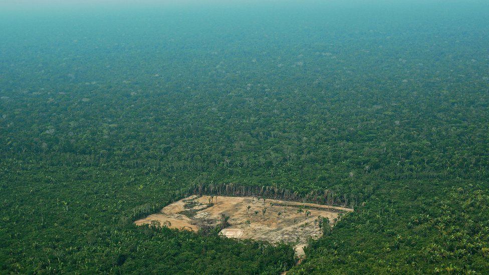 Pedazo de la selva del Amazonas con restos de deforestación.