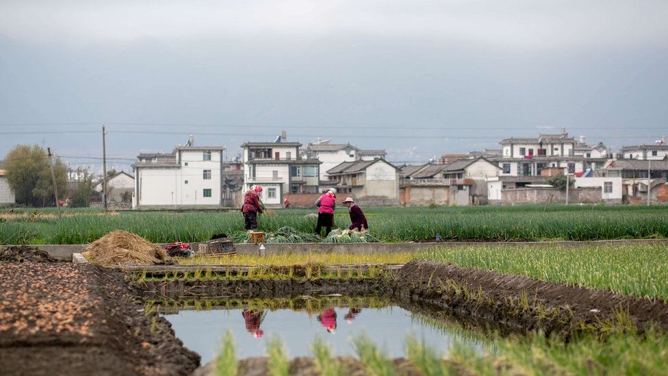 Çin'de kırsal kesimde yaşayan kadınlar arasındaki intihar oranlarında son 10 yılda büyük bir azalma görüldü.