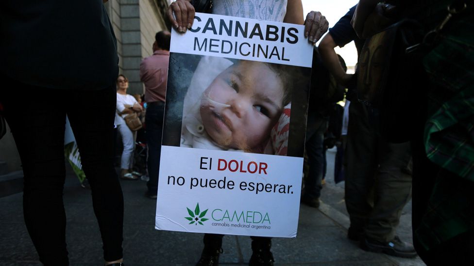 Según la ley, quienes se incorporen al programa del Ministerio de Salud tendrán garantizado "el acceso gratuito al aceite". Según la ley, quienes se incorporen al programa del Ministerio de Salud tendrán garantizado "el acceso gratuito al aceite".