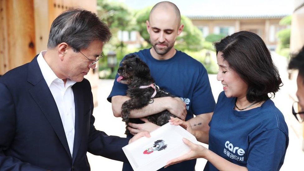 Президент Южной Кореи Мун принял своего нового пса Тори в приюте для животных CARE