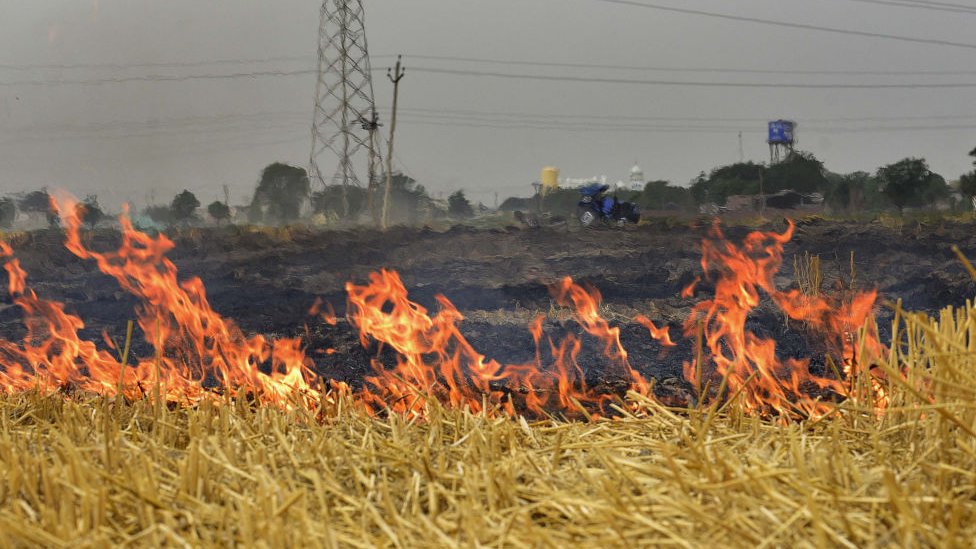 Stubble burning outside Ludhiana on the outskirts of Punjab