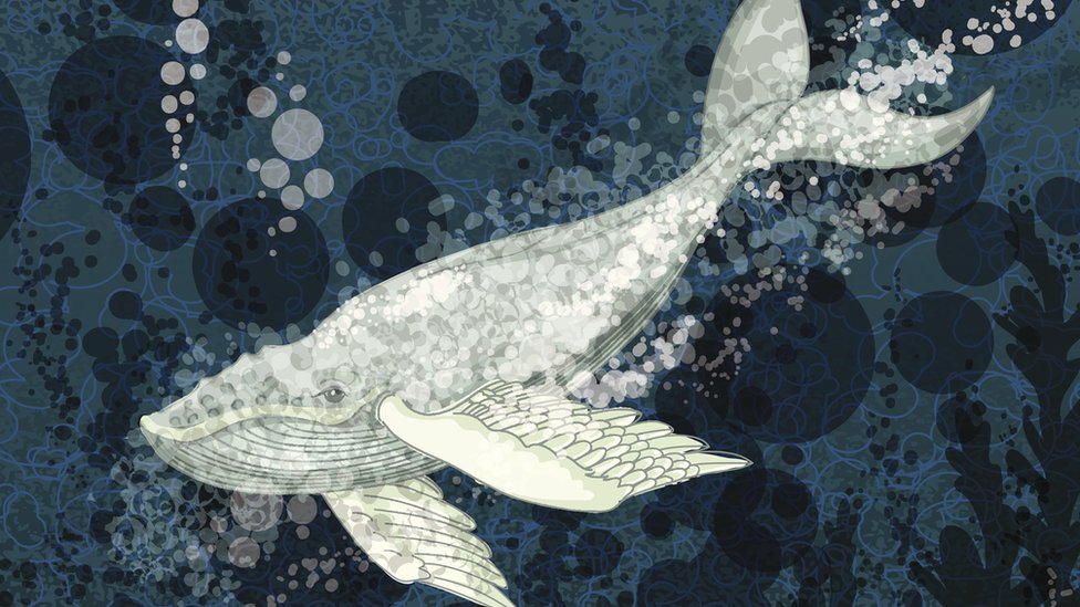 Ilustracija kita koji roni