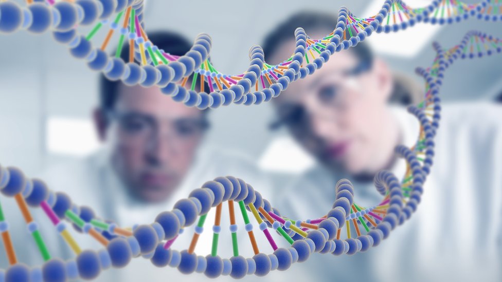 Cientficos miran un modelo de ADN