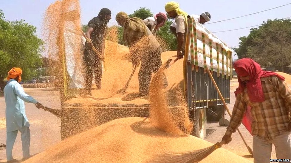ਕਣਕ