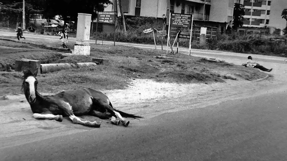 Фотография Сунми Смарт-Коула под названием «Две усталые души» - 1983 год, на которой изображены лошадь и мужчина, лежащий на улице в Нигерии