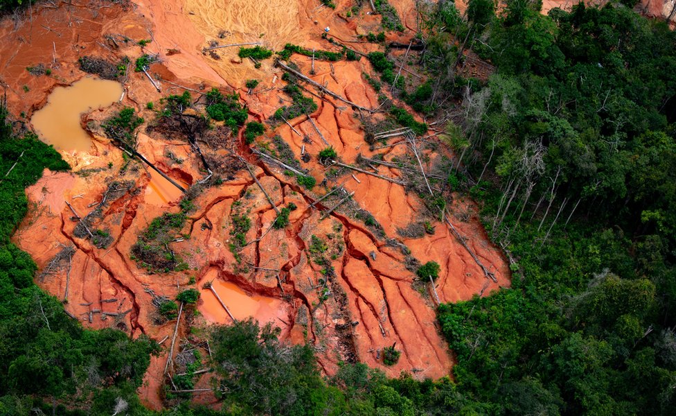 Devastation caused by illegal mining in the Amazon