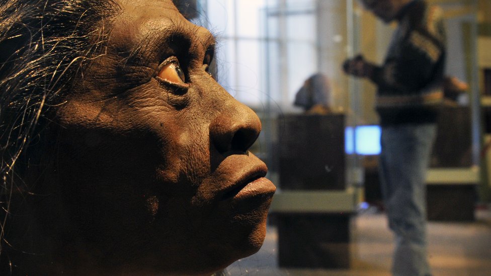 Recreación del rostro del Homo floresiensis