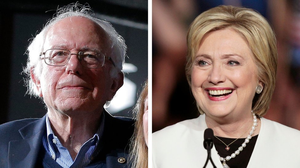 Bird steals the show from Bernie Sanders at rally - BBC News