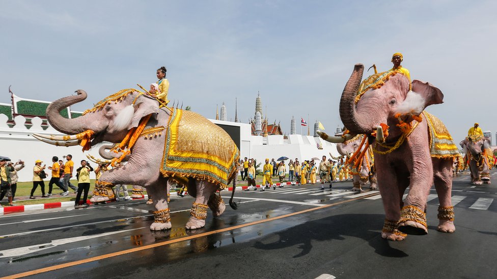Slonovi paradiraju pored Velike palate u Bangkoku na proslavi krunisanja tajlandskog kralja