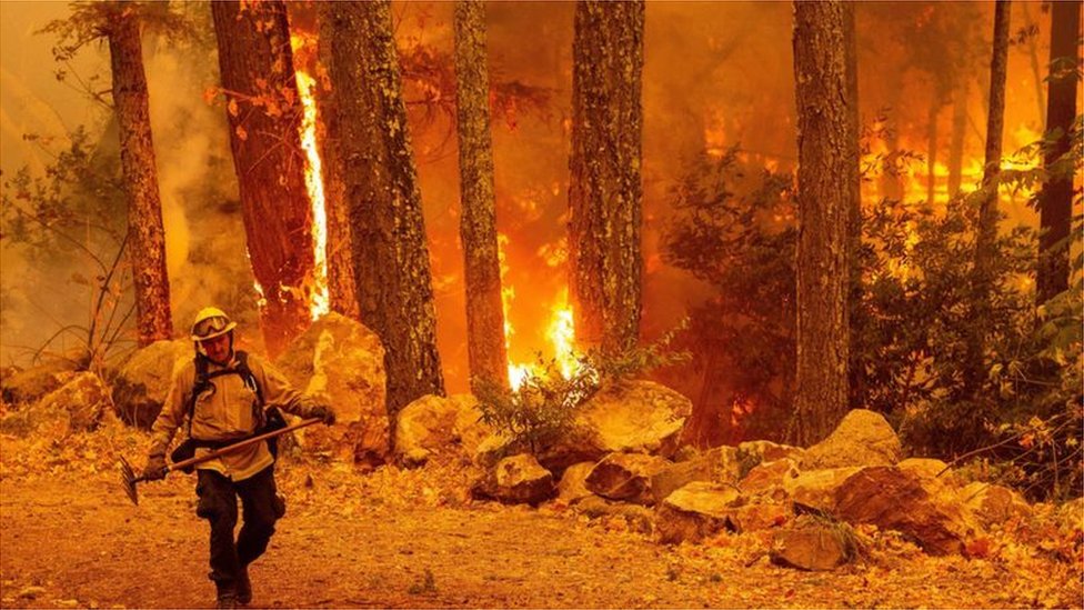 ABD'nin batı eyaletlerini saran rekor düzeydeki yangınların iklim değişikliğiyle ilgili olduğu düşünülüyor