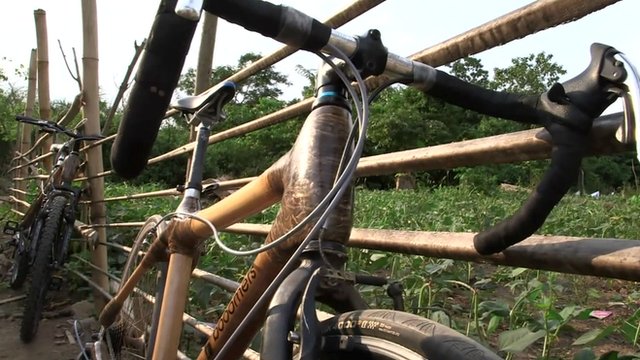 Bamboo bike