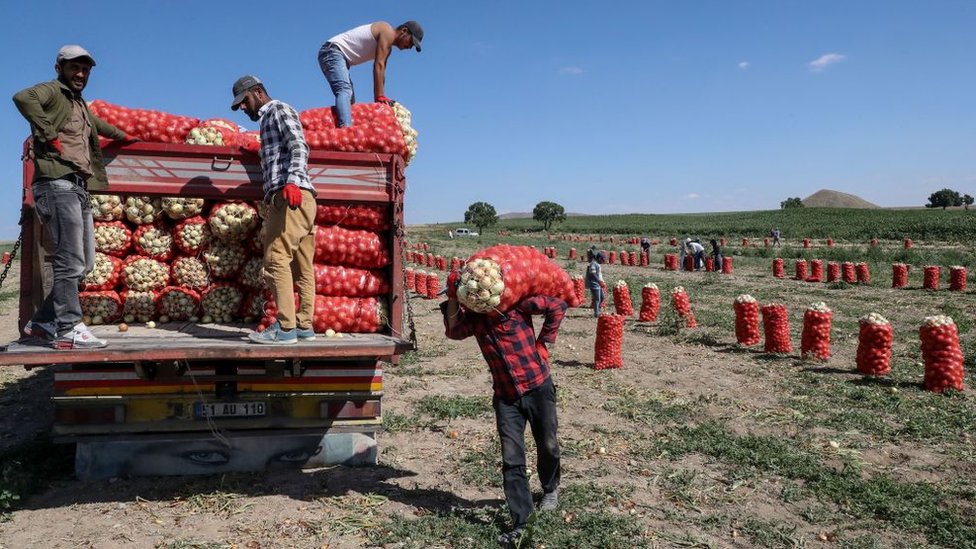 Koronavirüs salgını, Türkiye'de gıda ve tarım sektörü için risk barındırıyor mu?