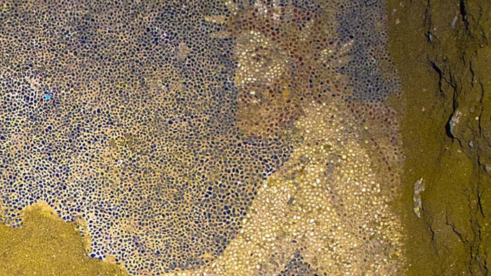 Деталь мозаики с захоронения в Амфиполе, Греция