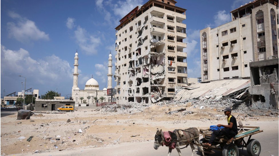 حمار يسحب رجلاً على عربة أمام بنايات مدمرة في غزة (21/09/21)