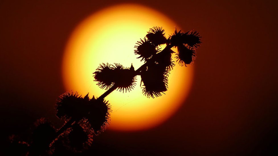 The days sun rises over the countryside