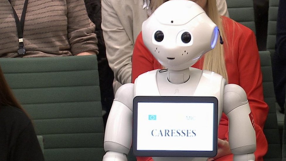 Pepper the robot tells MPs about artificial intelligence
