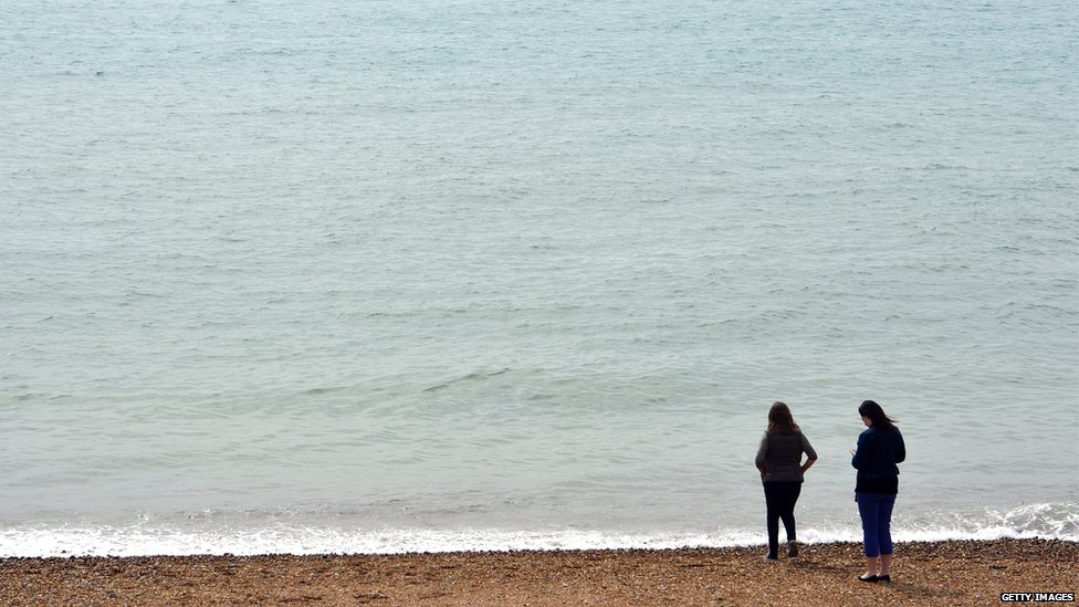 The Killer Tiger Shark Of Brighton Beach c News