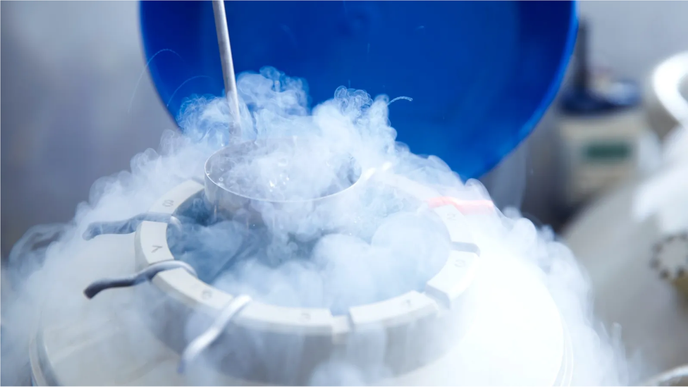 Fotografia colorida mostra um recipiente com nitrogênio líquido; há fumaça saindo da entrada aberta do recipiente